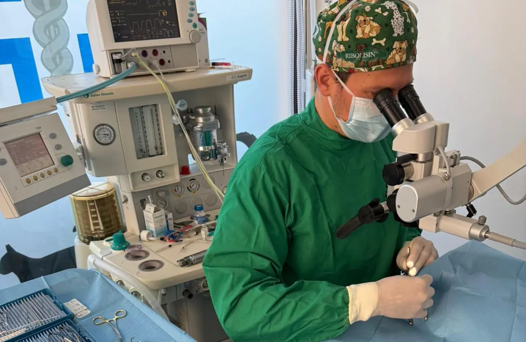 Chirurgia degli annessi oculari nei cani e nei gatti